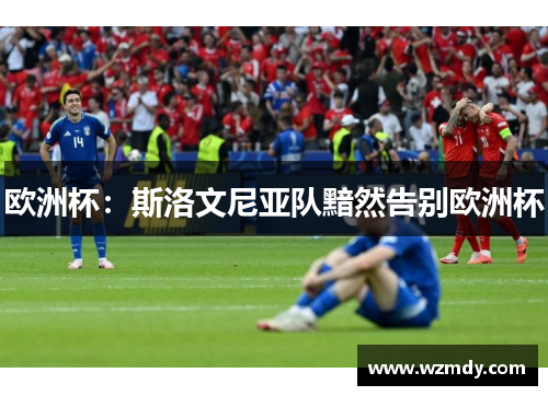 欧洲杯：斯洛文尼亚队黯然告别欧洲杯