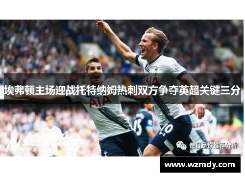 埃弗顿主场迎战托特纳姆热刺双方争夺英超关键三分