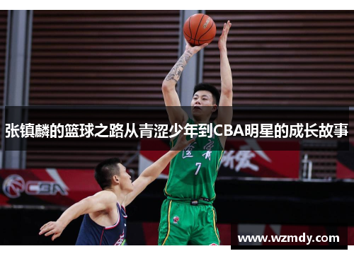张镇麟的篮球之路从青涩少年到CBA明星的成长故事