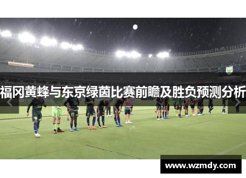福冈黄蜂与东京绿茵比赛前瞻及胜负预测分析
