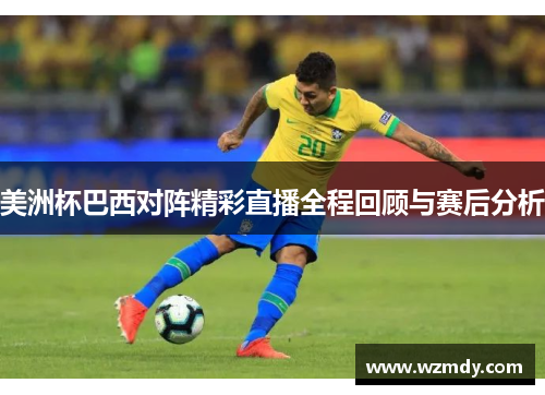 美洲杯巴西对阵精彩直播全程回顾与赛后分析