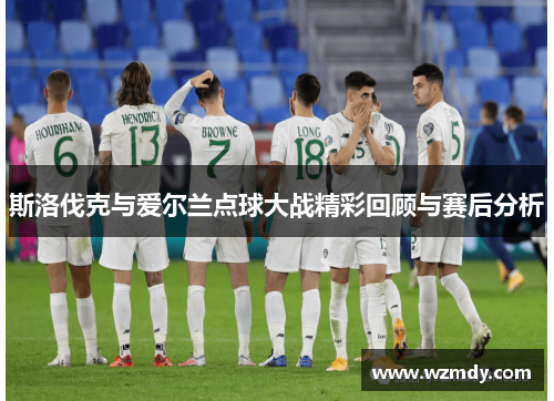 斯洛伐克与爱尔兰点球大战精彩回顾与赛后分析