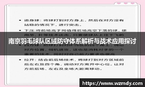 南京羽毛球队区域防守体系解析与战术应用探讨