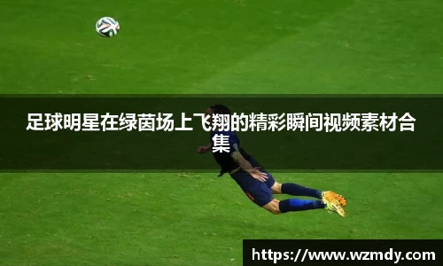 足球明星在绿茵场上飞翔的精彩瞬间视频素材合集