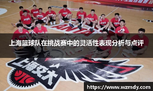 上海篮球队在挑战赛中的灵活性表现分析与点评